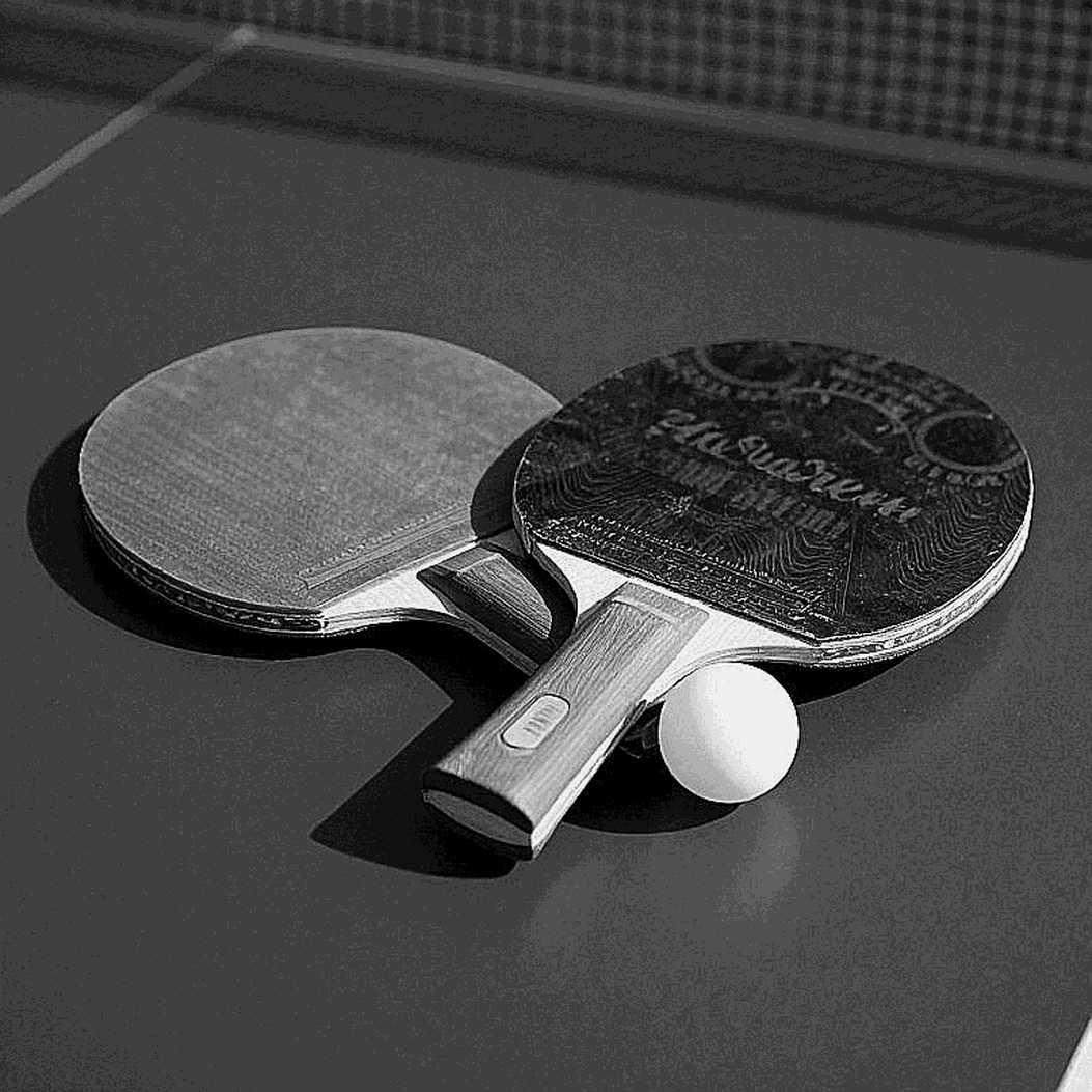 Professional Table Tennis: Nine Layers of Data Behind a Ranking Table