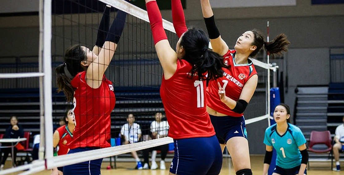 Sasipaporn và bài toán hệ quy chiếu: Khi một tay đập 'bom tấn' bị bỏ đói