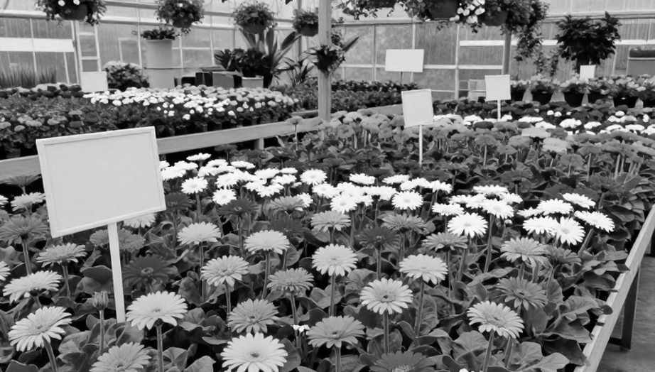 Ba Ngày Xem Lại Băng: Hàng Phòng Ngự U23 Việt Nam Và Khoảng Trống Ở Phút 60-75 Ba Ngày Xem Lại Băng: Hàng Phòng Ngự U23 Việt Nam Và Khoảng Trống Ở Phút 60-75