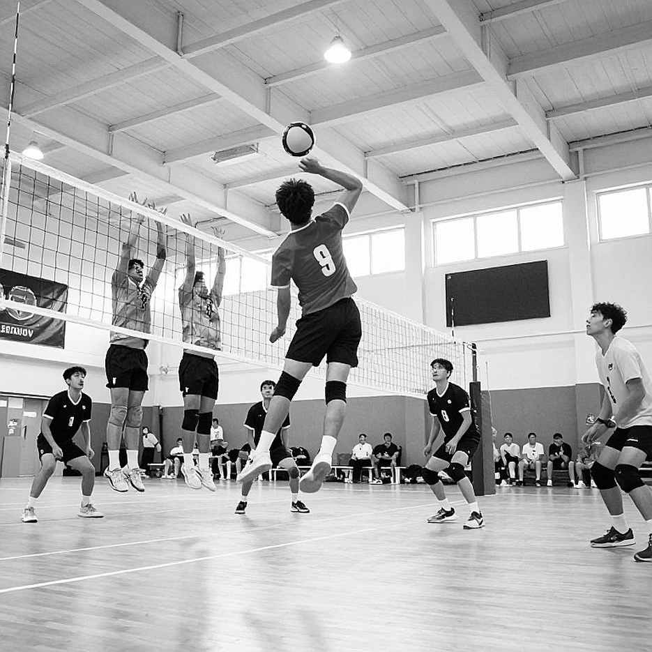 Türkiye Defeats Serbia 3-0 in EuroVolley 2026 Semifinal, Secures Olympic 2028 Qualification
